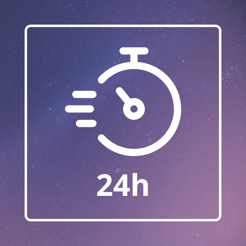 24-Hour Express Delivery